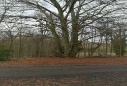 IMG_20190209_160104