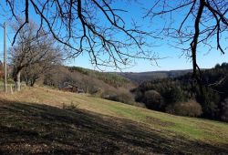 Wanderung_am_16.02.19_8