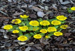 Wanderung_am_16.03.19_4