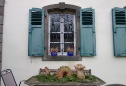 07
